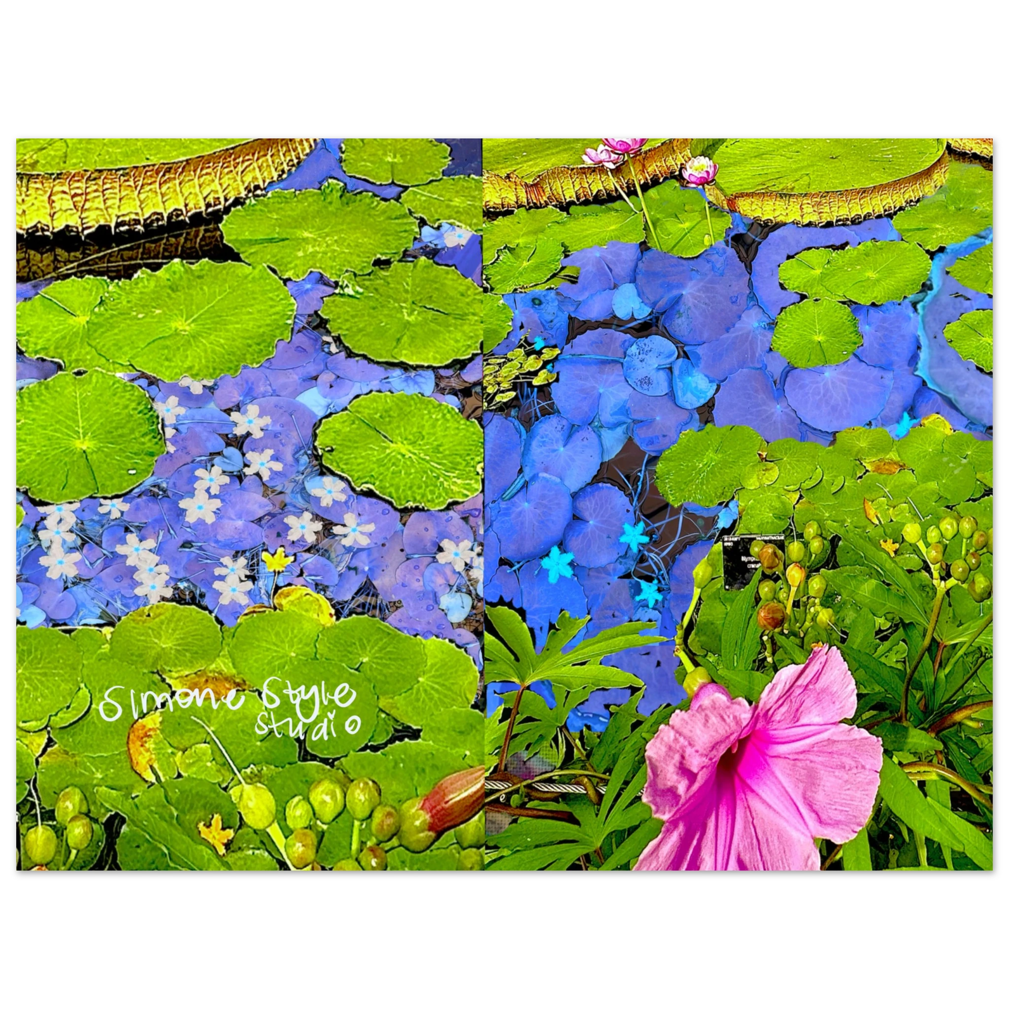 4a165a95-f562-4deb-957f-2f2e9749a6bb