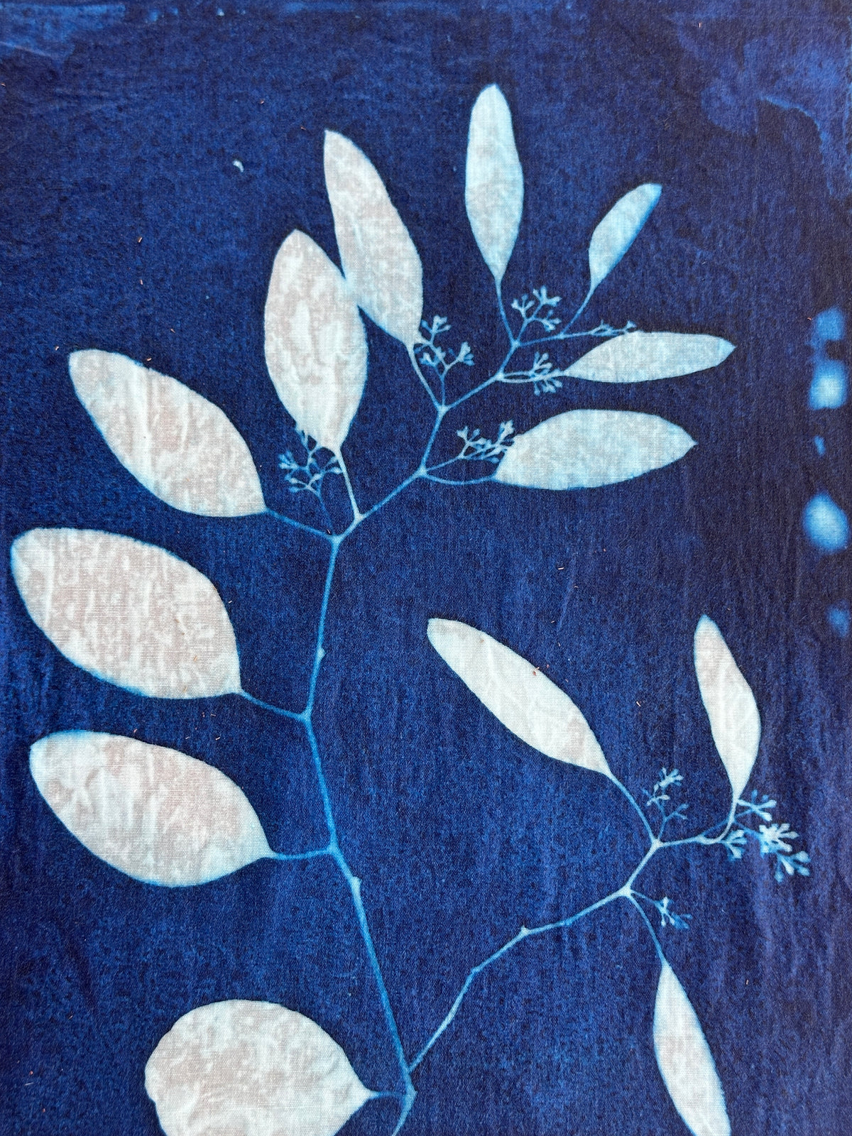 Textile Printing and Dyeing in Mexico City