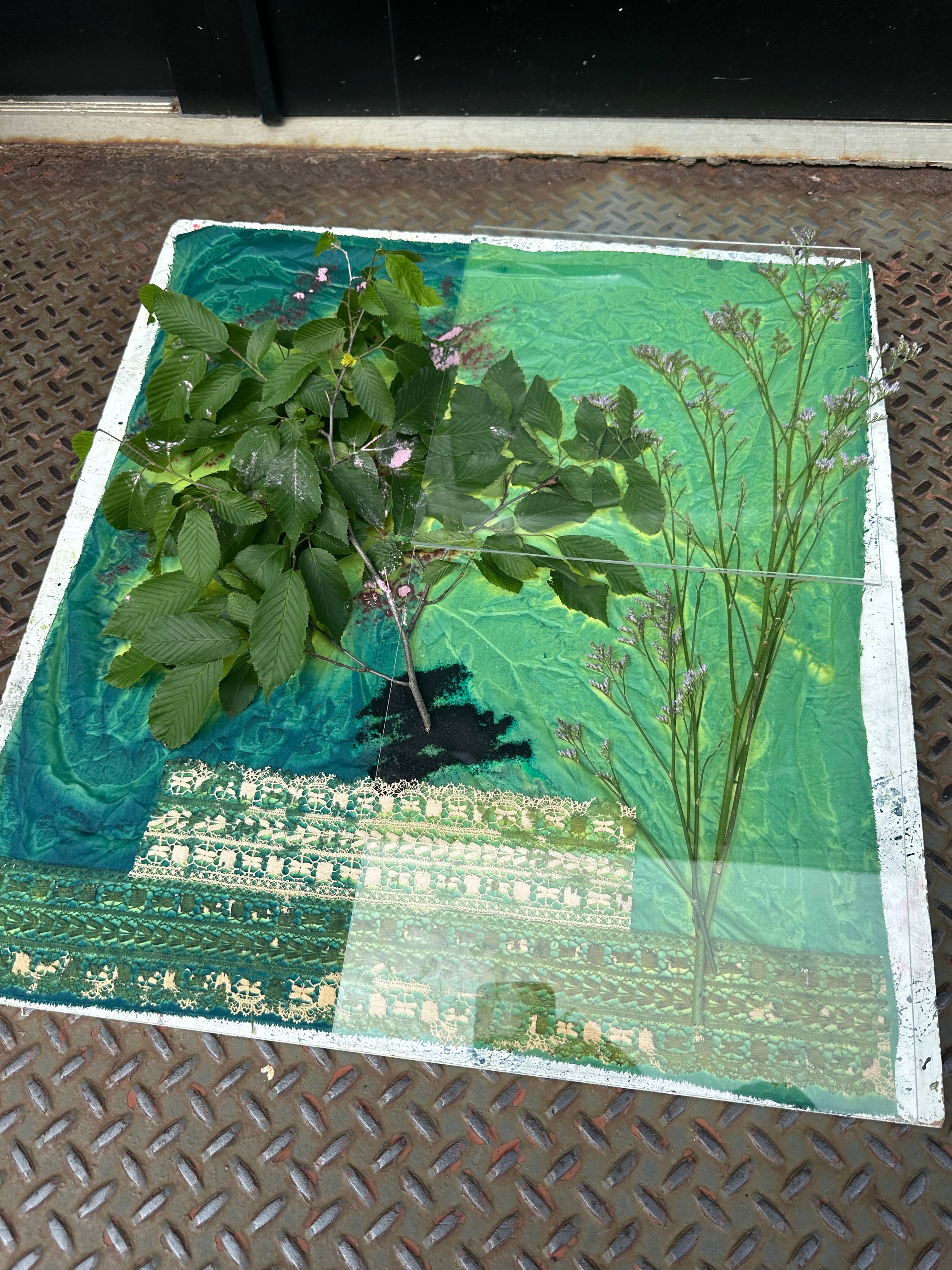 Botanical Printing in NYC