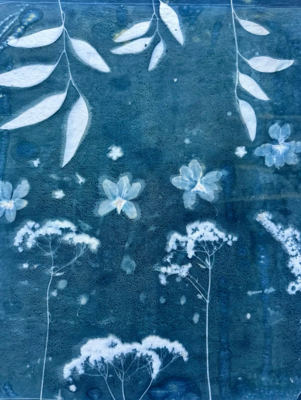 Botanical Printing in Montego Bay