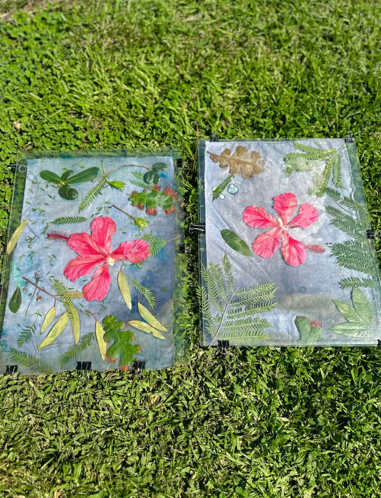 Botanical Printing in NYC