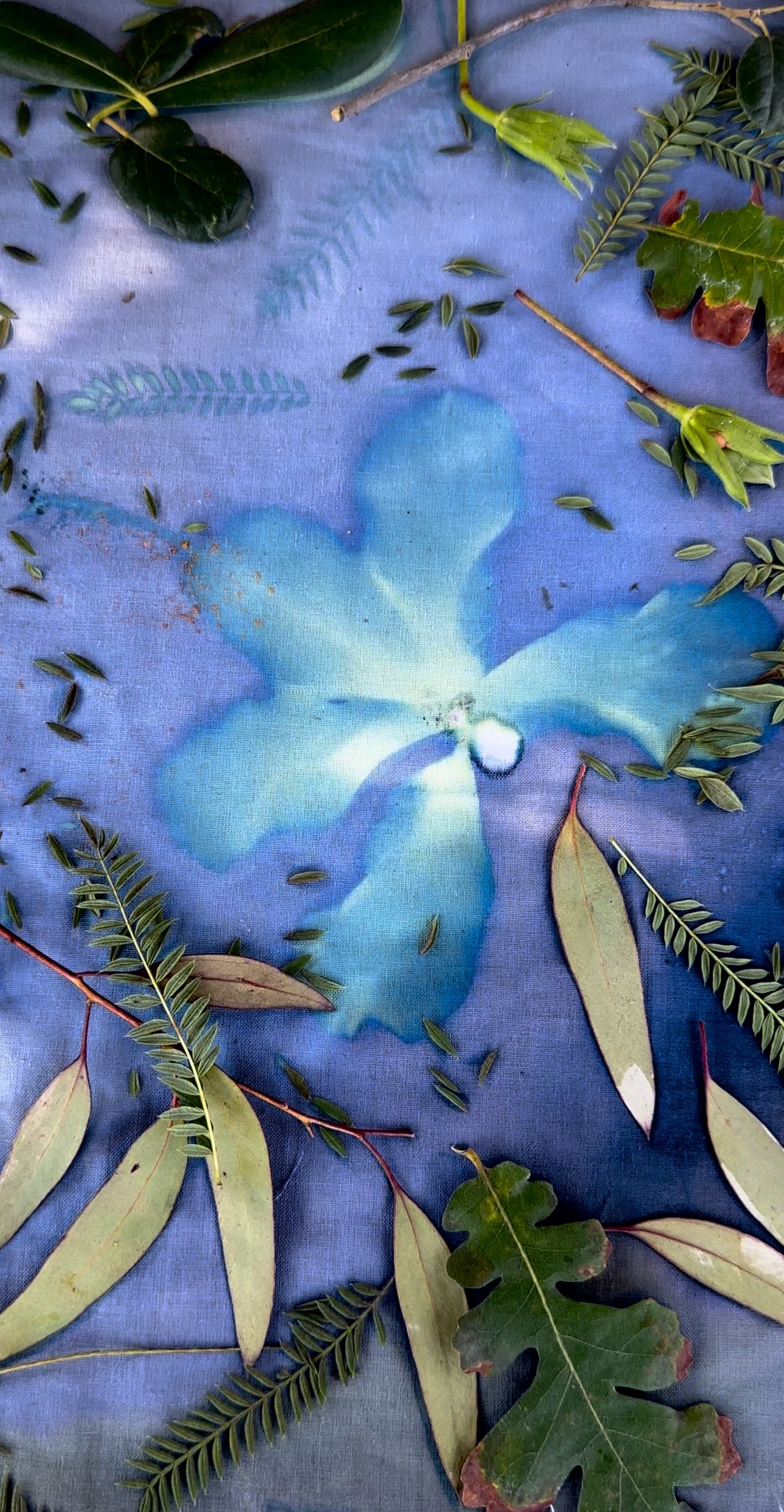 Botanical Printing in Ocho Rios