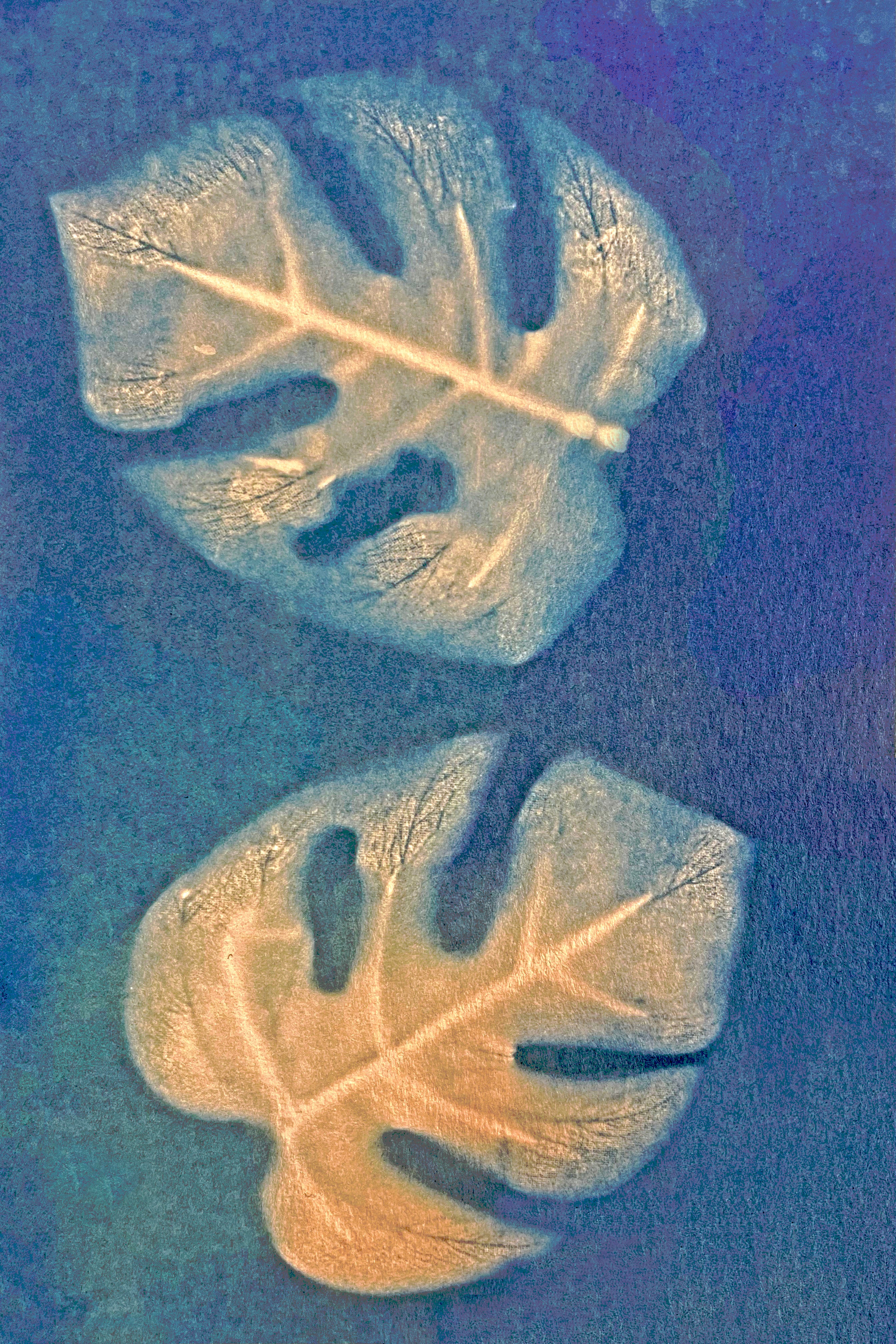 Botanical Printing in Los Angeles