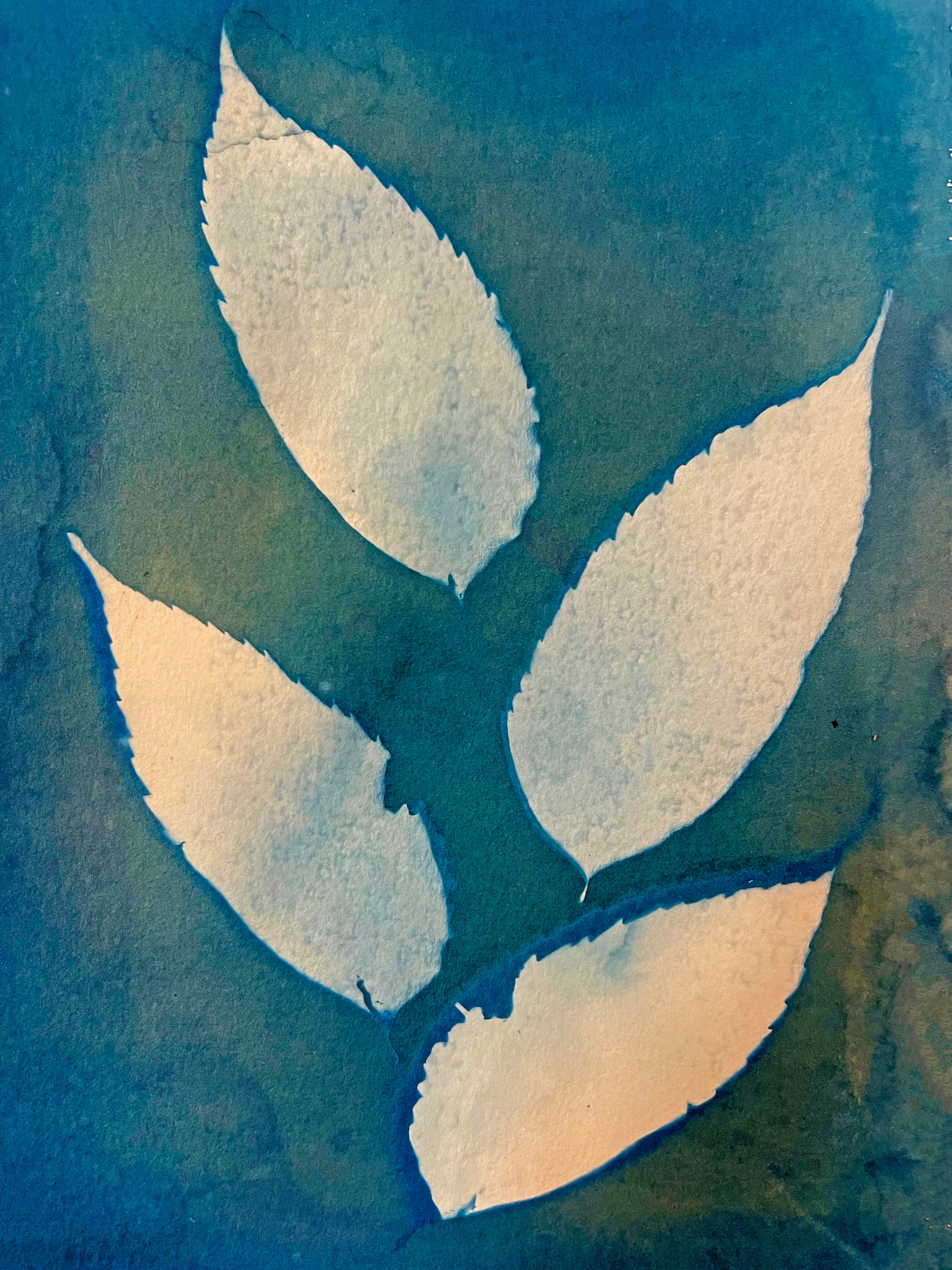 Botanical Printing in Los Angeles