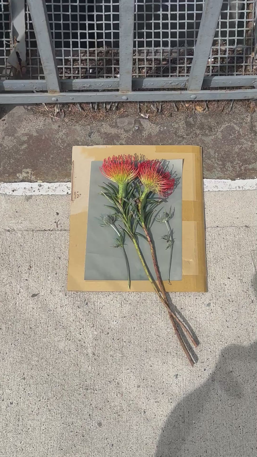 Botanical Printing in NYC