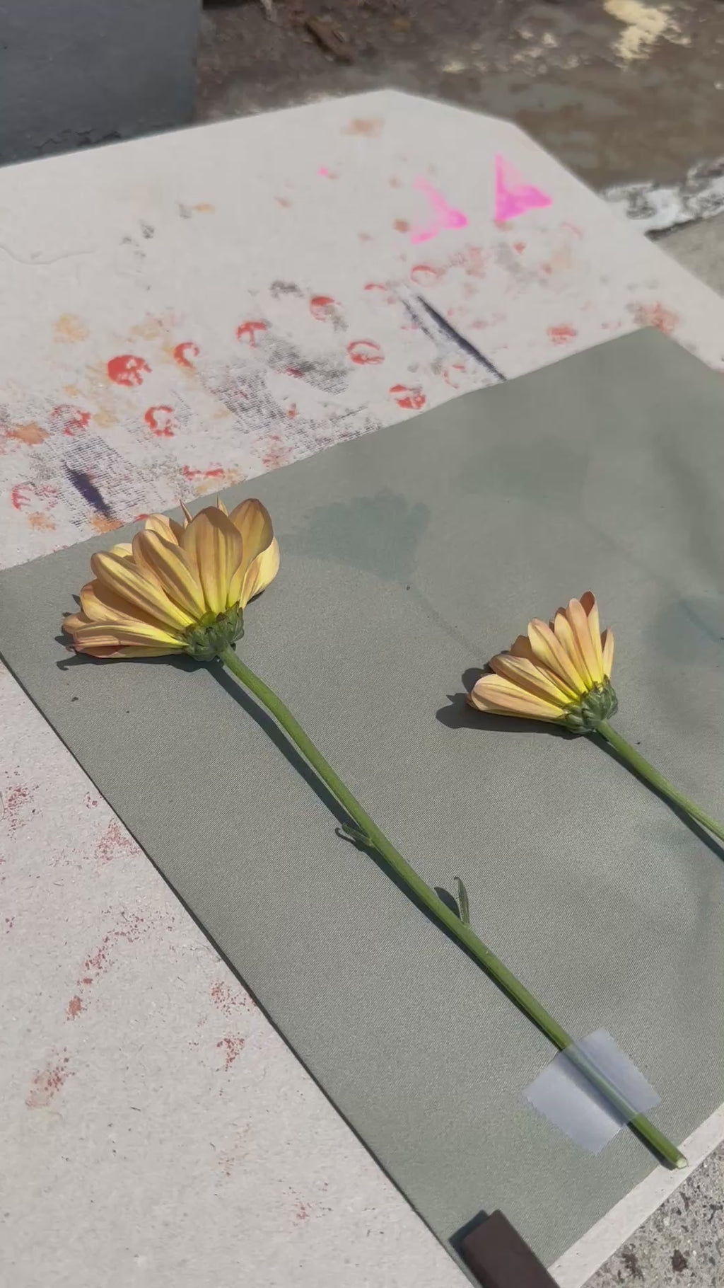 Botanical Printing in NYC
