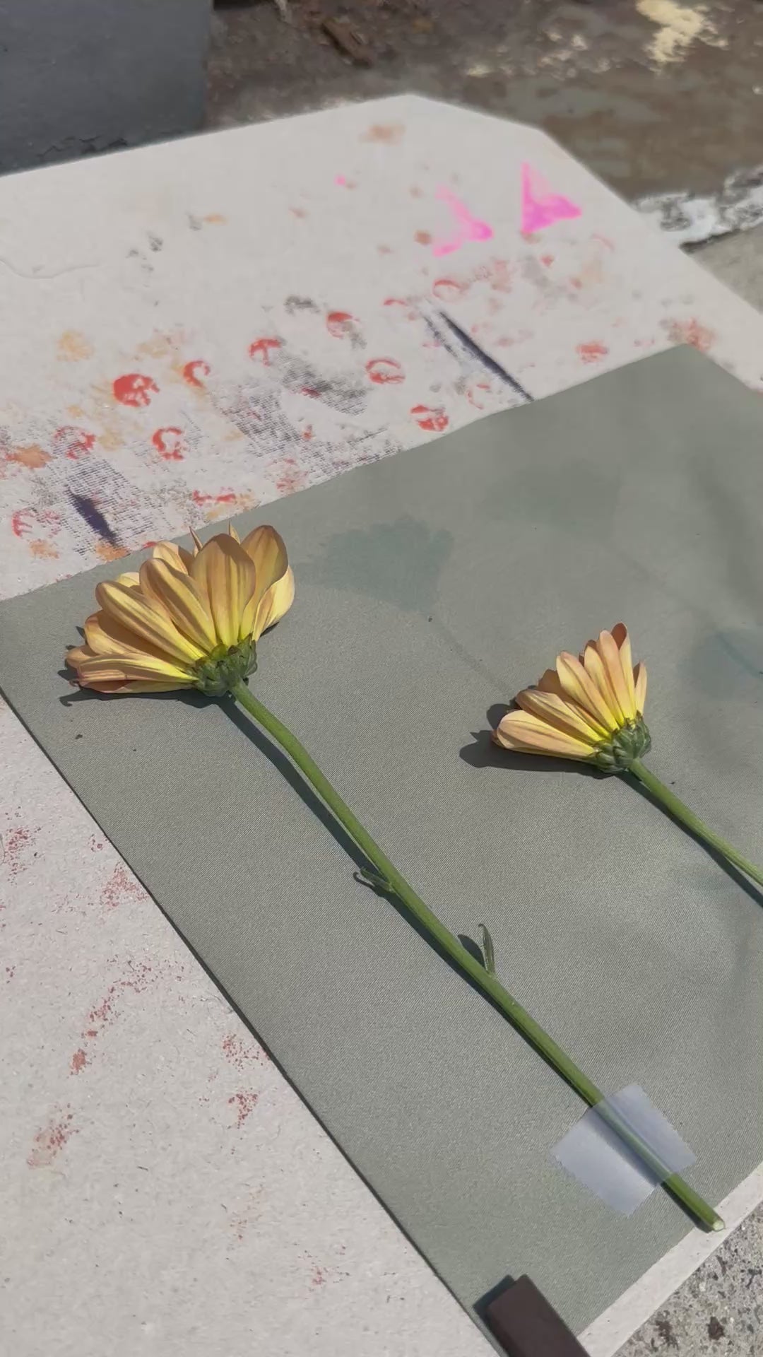 Botanical Printing in NYC
